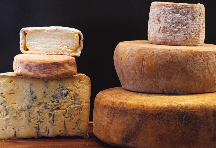 Exploring The WNC Cheese Trail