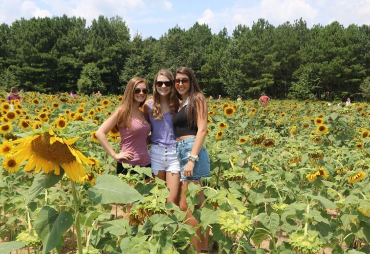 Sunflowers Bloom at Dix Park, NC Ranked No. 1 for Business, Summer Festivals Abound in NC