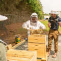 Fenton Collaboration Puts Local Honey on Tap