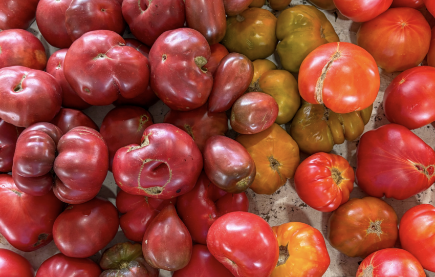North Carolina Farmers Market Raleigh