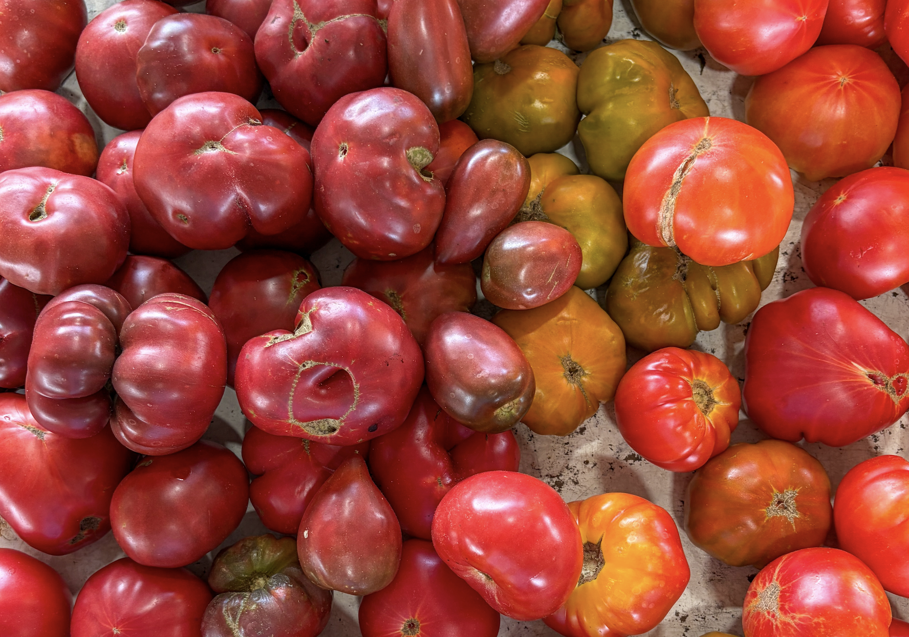 North Carolina Farmers Market Raleigh