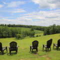 Discover the Wines of North Carolina’s Wilkes County