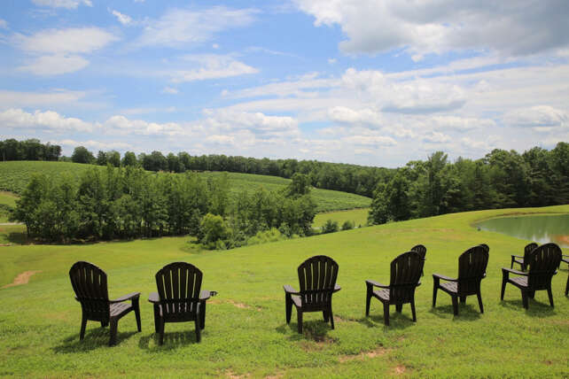 NC Wine Yadkin Valley