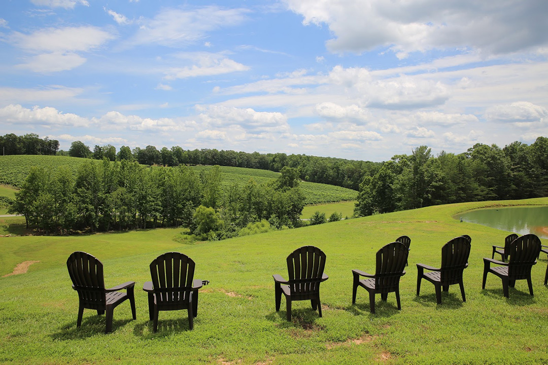 NC Wine Yadkin Valley
