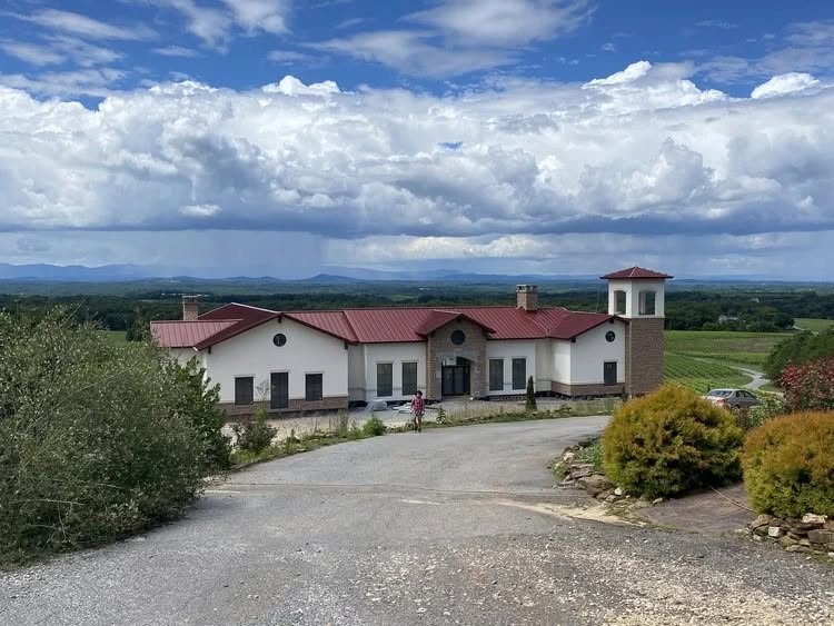 Piccione Vineyards Ronda Yadkin Valley NC Wine